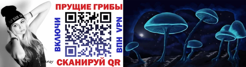 Купить где  Заозёрный  Псилоцибиновые грибы мицелий 